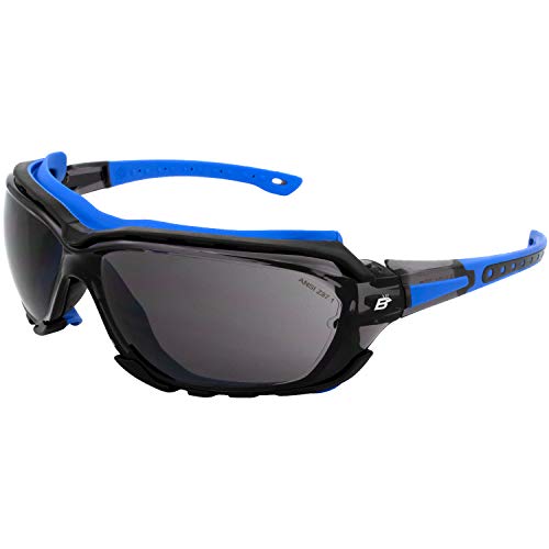 Birdz Gafas de sol deportivas acolchadas de seguridad para motocicleta, color azul con lente ahumada